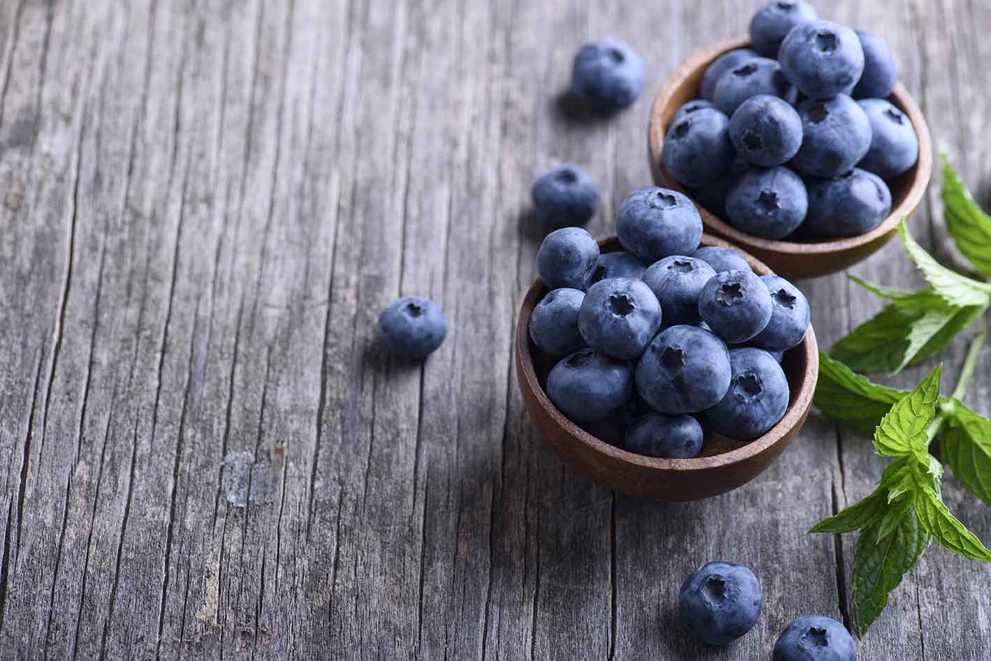 Tagfrisch Heidelbeeren
